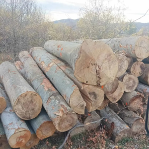 Grumes de Bois - Hêtre