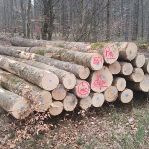 Grumes de Bois - Frêne