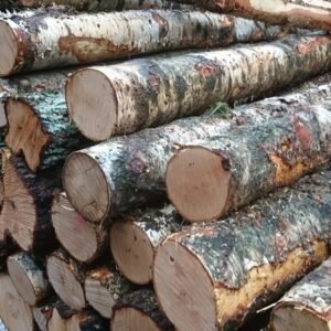 Grumes de Bois - Bouleau