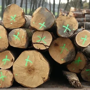 Grumes de Bois - Chêne